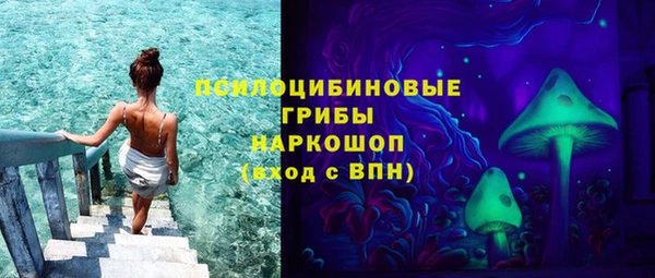 а пвп мука Новозыбков