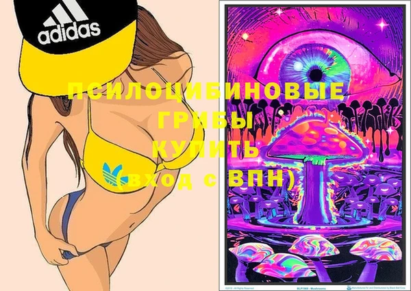 а пвп мука Новозыбков