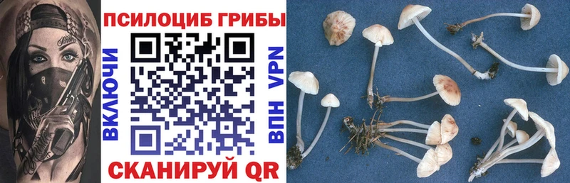 Галлюциногенные грибы ЛСД Чебоксары