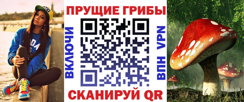 Псилоцибиновые грибы GOLDEN TEACHER  Купить  Чебоксары 